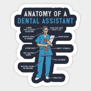 Anatomy of a Dental Assistant T-Shirt Sticker